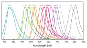 Gráfico Espectro Laser